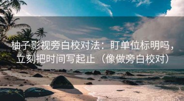 柚子影视旁白校对法：盯单位标明吗，立刻把时间写起止（像做旁白校对）