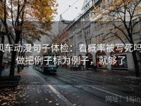 风车动漫句子体检：看概率被写死吗，做把例子标为例子，就够了