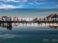 风车动漫读懂关键点：先抓主语对得上吗，再把例子标清楚（像做排错）