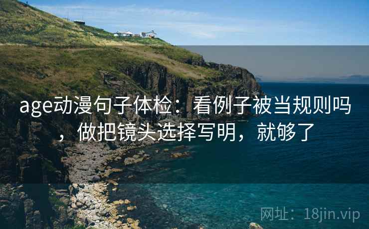 age动漫句子体检：看例子被当规则吗，做把镜头选择写明，就够了